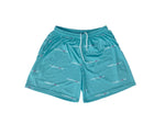 Load image into Gallery viewer, Pastel Teal "Differeynt" Mesh Shorts
